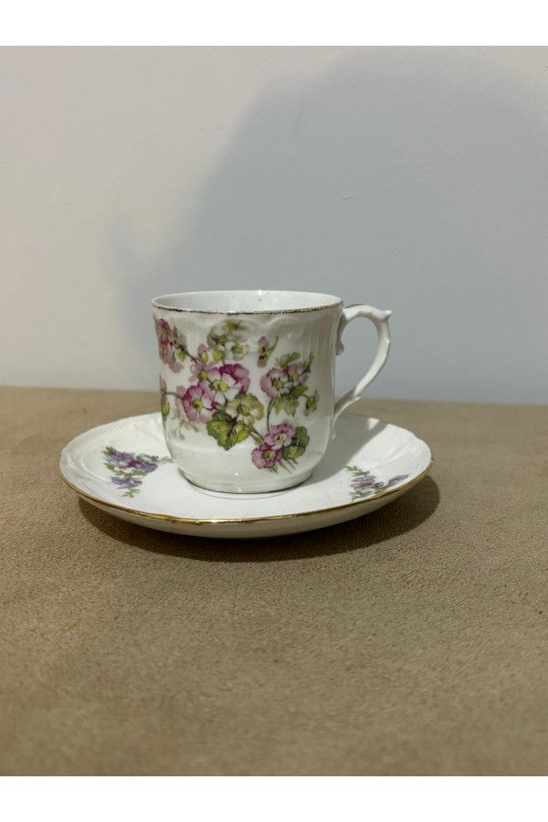 Limoges fincan