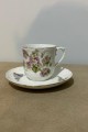 Limoges fincan