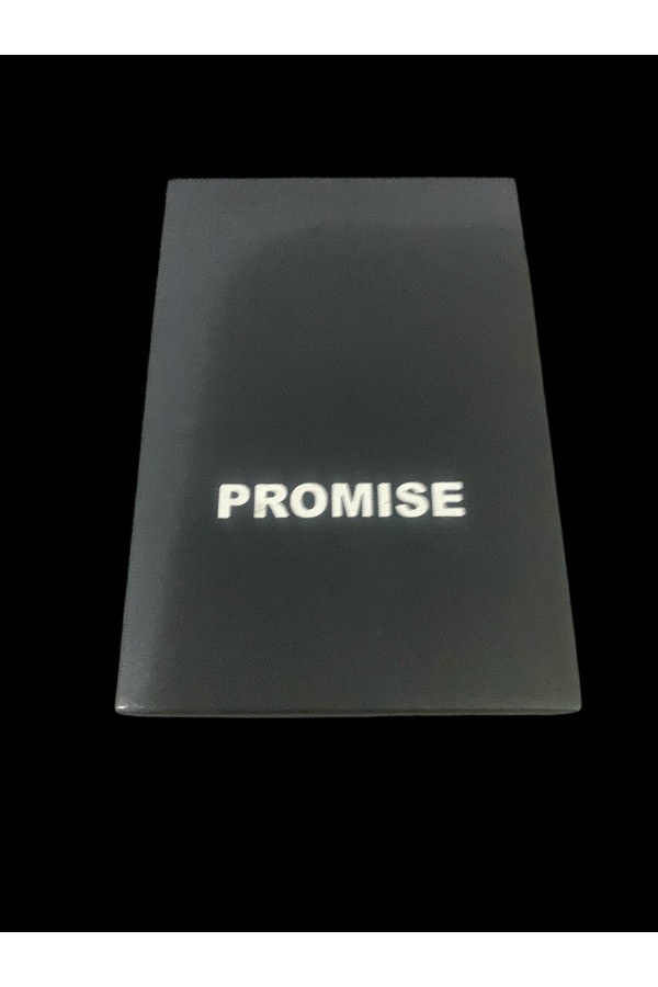 Promise Çelik gövde çakmak